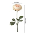 thumbnail image 3 of Artificial Ranunculus Flower Stems 8 Colors Realistic Fake Peony Bouquet For Home Wedding Party Table Centerpiece Vase Decor, 3 of 6