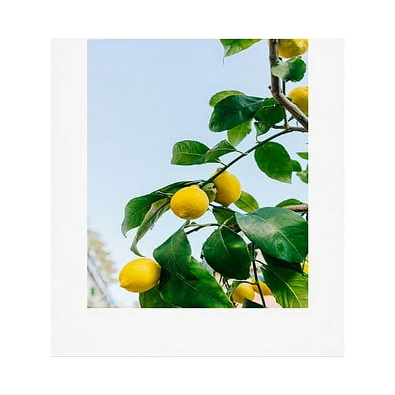 Society6 Bethany Young Photography Amalfi Coast Lemons III Art Print 8" x 10"