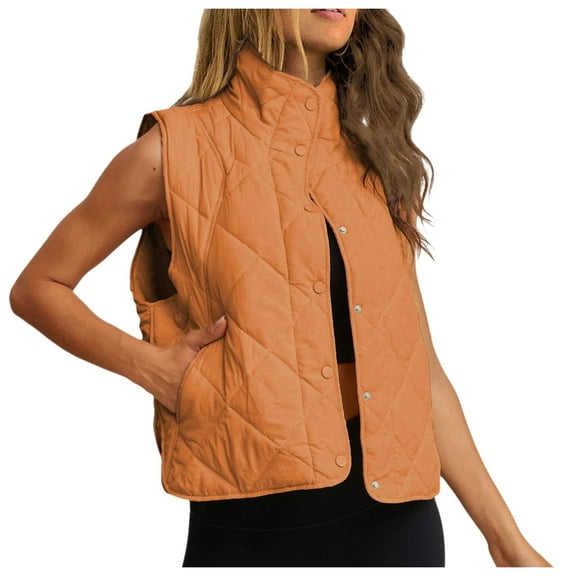 DuoJiaJ Ladies New Quilted Stand Up Collar Lightweight Buttons With Pocket Padded Jacket Vest Women Winter Coat Brown L