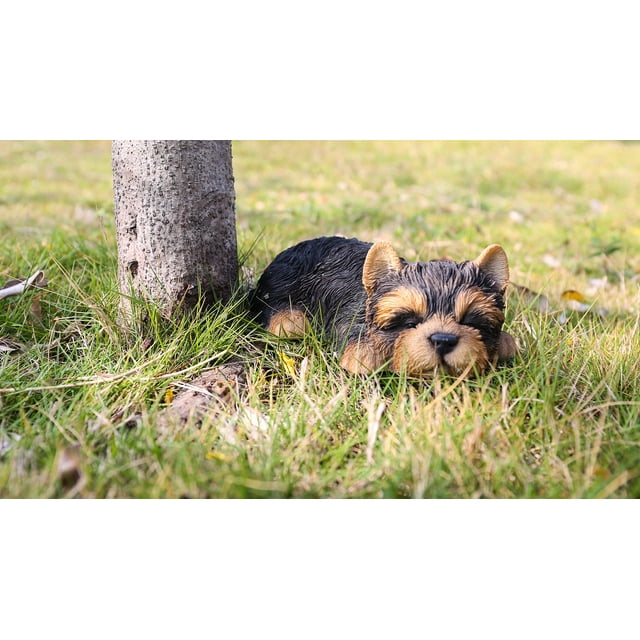 Estatuilla RUNADI, estatua de perrito Yorkshire Terrier durmiendo