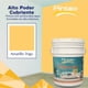 thumbnail image 2 of PINTEX Kit Pinta-me Pintura Vinil-Acrílica 19 L | Incluye Brocha, Mini Rodillo, Felpas, Masking Tape y Plastiprotector | Acabado Mate | Fácil Aplicación | Interiores y Exteriores | Amarillo Trigo, 2 of 5