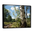 thumbnail image 3 of Designart "Birch Tree Forest Nature's Essence III" Extra Large Landscapes Framed Wall Art - Country Green Tree Bedroom Framed Canvas Wall Art, 3 of 7