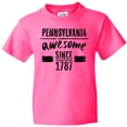 thumbnail image 3 of Inktastic Pennsylvania Awesome Since 1787 Youth T-Shirt, 3 of 5