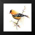 thumbnail image 2 of Diannart 20x20 Black Modern Framed Museum Art Print Titled - Watercolor Chickadee III, 2 of 5