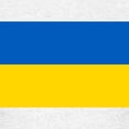 thumbnail image 3 of CafePress - Ukraine Flag T Shirt - Light T-Shirt Kids XS-XL, 3 of 4