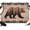 Orange, Brown, Black, variant on 7x5ft Photo Backdrop, Brown Bear Cabin Soft Polyester Backdrop Curtains Photography Backdrops, Vintage Pine Tree Brown Wooden Brushed Background for Photoshoots Studio Video Portrait Parties