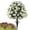 Multicolor[A], variant on Djiypn Artificial Rose Topiary Ball Trees with Ground Spike, 1 Pack 24 Inches UV Resistant Artificial Shrubs, Fake Evergreen Artificial Plant Brush for Indoor Outdoor Front Porch Garden