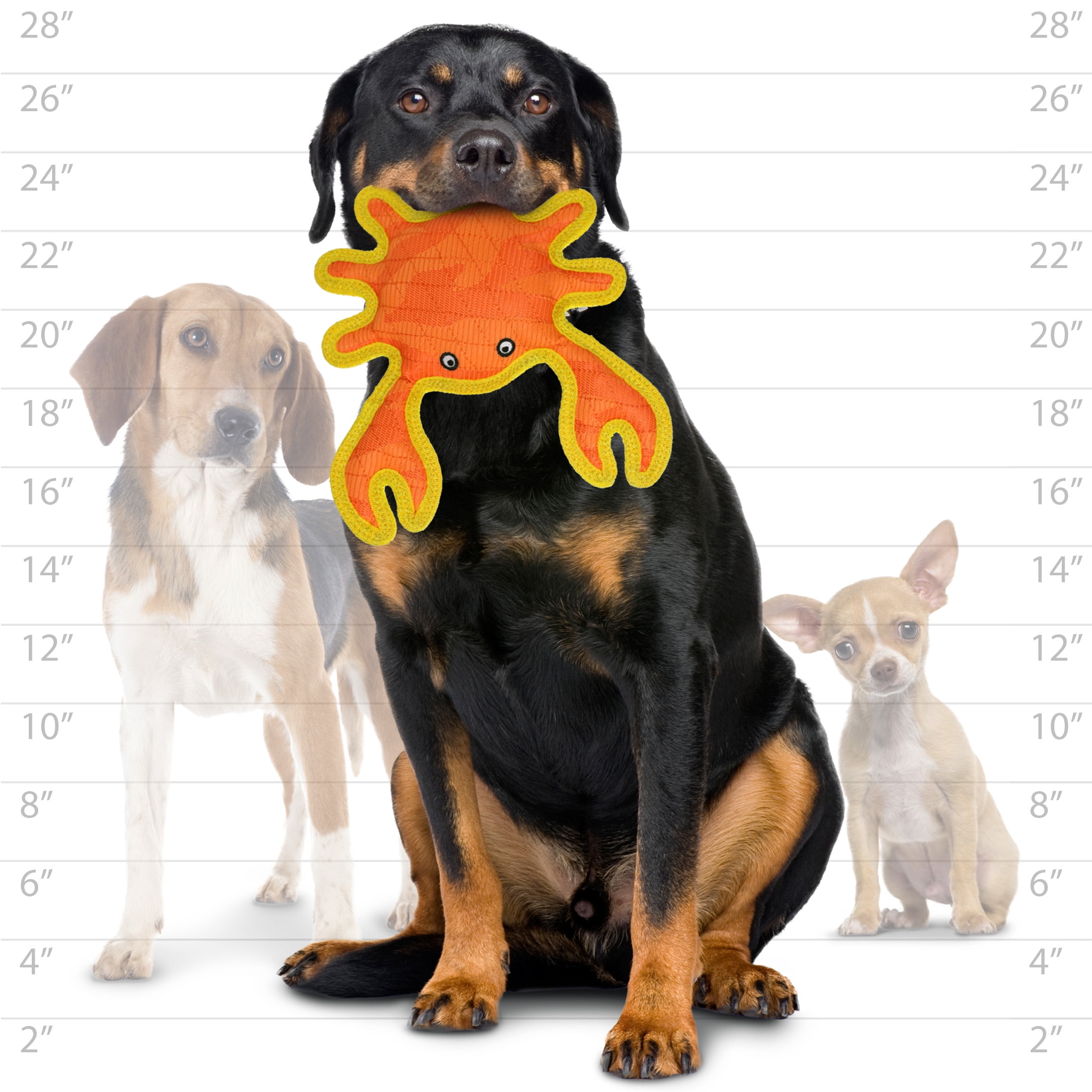 DuraForce Crab Tiger Orange-Yellow Durable Woven Fiber Dog Toy