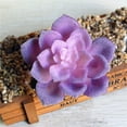 thumbnail image 6 of Artificial Succulent Plant Flower Arrangement DIY Bonsai Home Hotel Cafe Decor, 6 of 8