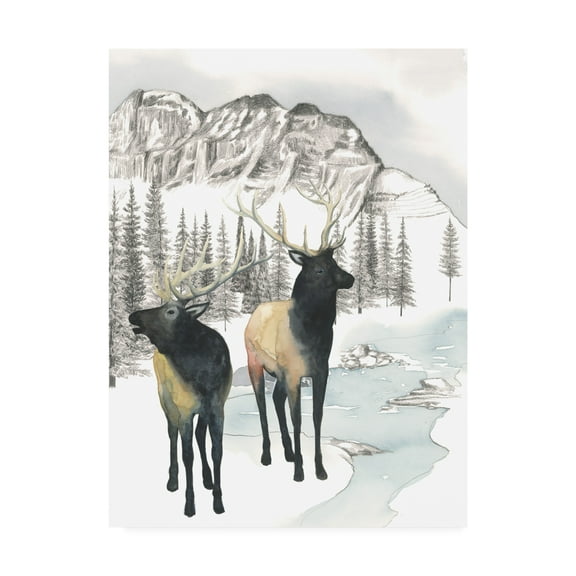 Trademark Fine Art 'Winter Elk II' Canvas Art by Grace Popp
