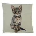 thumbnail image 2 of Cat | Calico Cat | Cat Pillow | Cute Cat | Cat Gifts | Cat Decor | Cat Photo | Gifts for Cat Lovers | Accent pillow | Throw Pillow Covers, 2 of 3