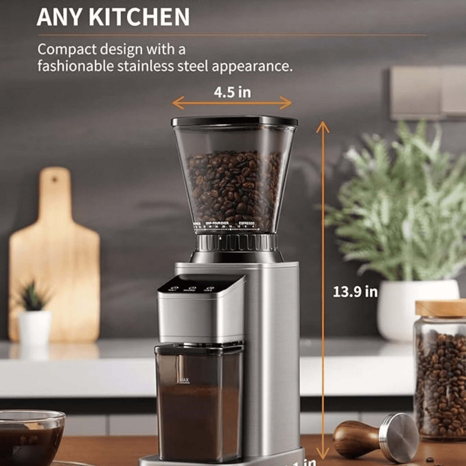 Professional Conical Burr Coffee Grinder, Coffee Bean Grinder with 48 Grind Settings for Espresso, Drip & French Press, Upgraded Anti-Static Technology, Precision Timer, Stainless Steel