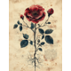 thumbnail image 1 of Qisvanset Framed Canvas Wall Art 12x16 Inch Rooted In Love Floral Minimal Bible Verse Art, 1 of 5
