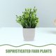 thumbnail image 3 of WEUVEB 2Ud Plantas Decorativas Artificiales Para Interiores Con Maceta Resistente Y Realismo Natural, 3 of 8