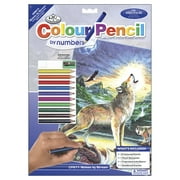 Royal & Langnickel Color Pencil By Number Kit 8.75"X11.75"-Wolf At Night