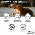 thumbnail image 5 of ALPHA DOG SERIES - Fucoidan Supplement All in One Multivitamin Chews Vitamin Treats Glucosamine Chondroitin Omega Fish Oil with Antioxidants Hip and Joint Support Immune Support, 5 of 12