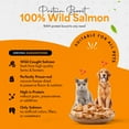 thumbnail image 5 of Chef Kitty Salmon Freeze Dried Treats for Cats and Dogs, 1.4 oz, 5 of 11