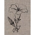 thumbnail image 3 of Prime, Marcus 19x24 Black Modern Framed Museum Art Print Titled - Linen Beauty, 3 of 5