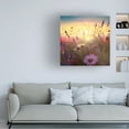 thumbnail image 2 of Canvas Wall Art - Ray Heere 'Flowering Fields 7' Wall Art for Living Room, Bedroom, or Office Décor by Trademark Fine Art - 24 x 24 Inches, 2 of 4