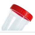 thumbnail image 1 of Pack 30  Piezas Vaso Recolector Para Muestra Copro Desechable Transparente Para Análisis/Estudios Médicos PlasticWorld VCOP01, 1 of 3