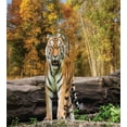 thumbnail image 3 of Ambesonne Animal Duvet Cover Sets, Tiger in Forest, 2-Twin, Orange and Brown, 3 of 4
