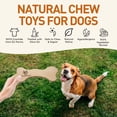 thumbnail image 6 of Wildfang® 3 Leather Bone Dog Chew Toy (Size L) – Durable Natural Beef Leather Dog Toy for Dental Care & Stress Relief – Made in EU, 6 of 6