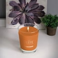 thumbnail image 2 of ROOT Candles Mulled Cider 10.5 oz Large Veriglass Jar, 2 of 7