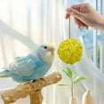 thumbnail image 4 of Beautynvta 2 Pcs Round Wicker Rattan Balls, 2'' Rattan Woven Decorative Ball Bowl Vase Filler, Wicker Balls for Birthday Home Party Table Centerpiece Wedding Decor, Yellow, 4 of 6