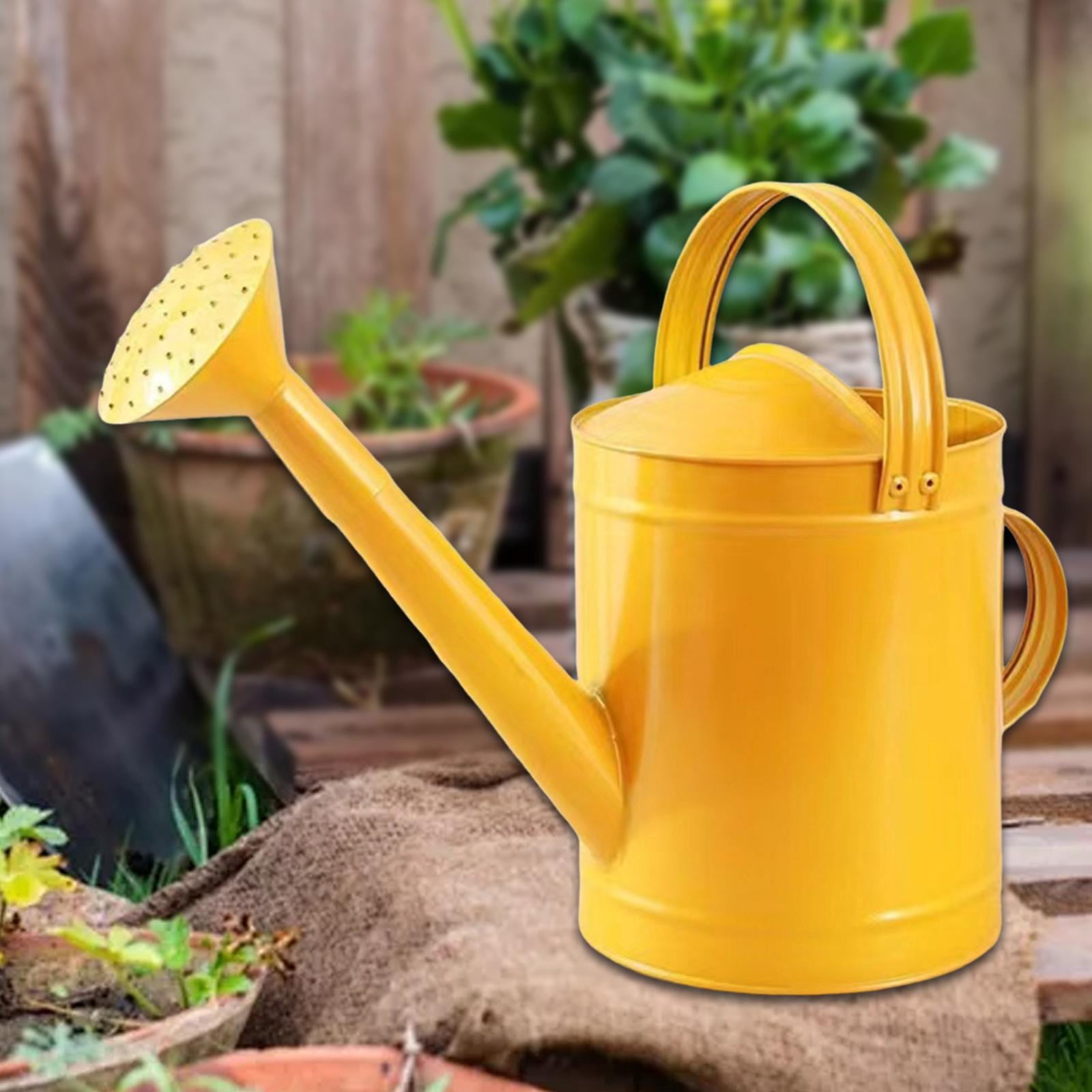 YWMJZEU 4L Watering Can with Handle, Leak, Removable Spout, Garden Tool, Rust-Resistant, golden