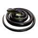 thumbnail image 1 of Juguete Rubber Snake Brandon Super Realistic Black Mamba 130 cm, 1 of 6