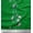 Green, variant on Soimoi Cotton Duck Fabric Leaves & Wild Flower Printed Fabric 1 Yard 42 Inch Wide