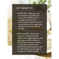 thumbnail image 5 of Face Serum - Plant-Based Daily Renewal Serum for Firming, Brightening & Hydration - 1 Fl Oz (Pack of 1), 5 of 8