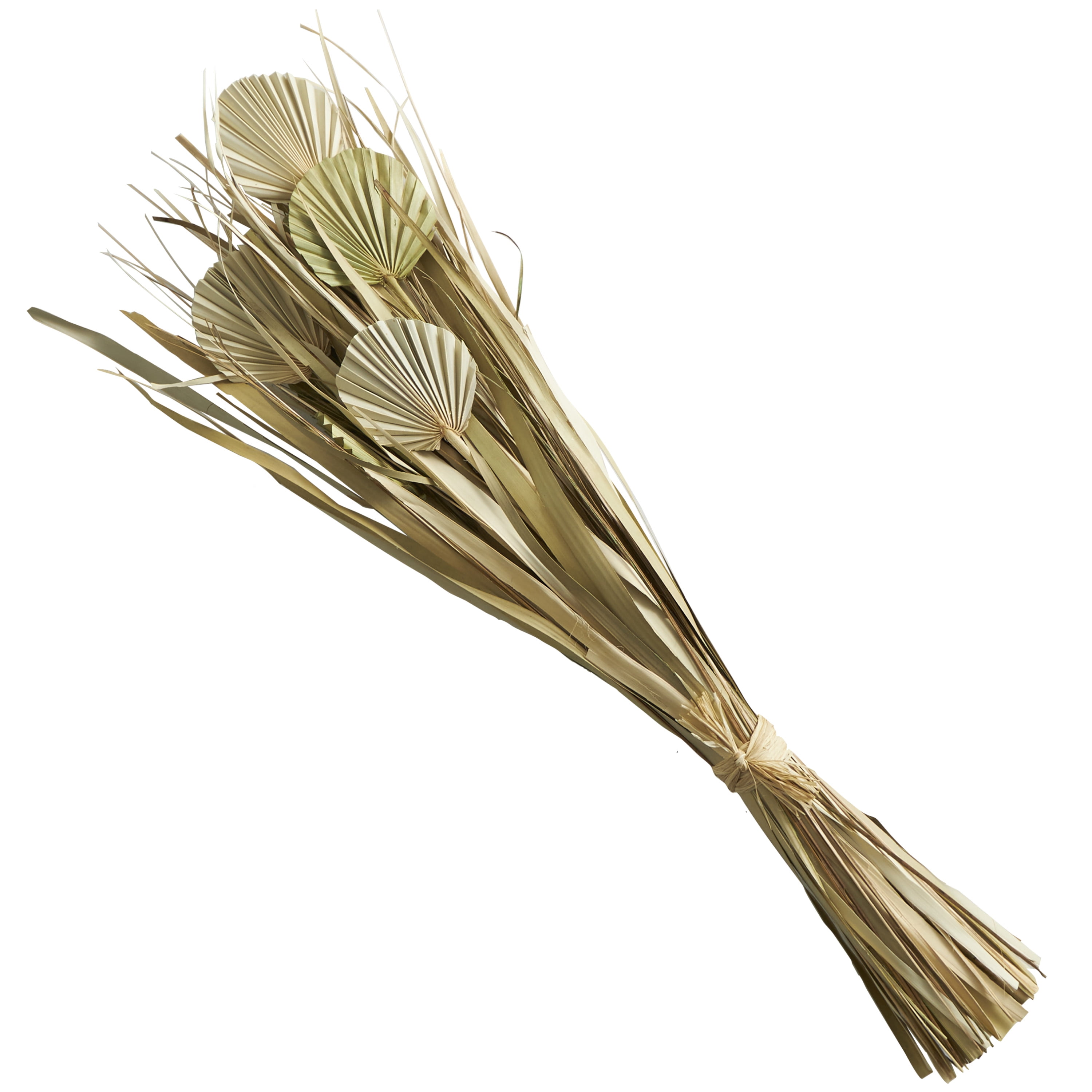 40" Handmade Tall Bouquet Dried Plant Natural Foliage Grass Bouquet with Fan Like Palm Leaves, by DecMode