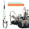thumbnail image 4 of Pet Grooming Loop Dog Cat Double Noose Ropes Adjustable Restraint Rope Harness Loops Leash Bathing Tether Straps Safety Table Bathtub Supplies (Small), 4 of 9