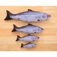 thumbnail image 3 of Pet Cat Kitten Chewing Cat Toys Stuffed Fish Mint Pet Interactive Kitten Product, 3 of 5