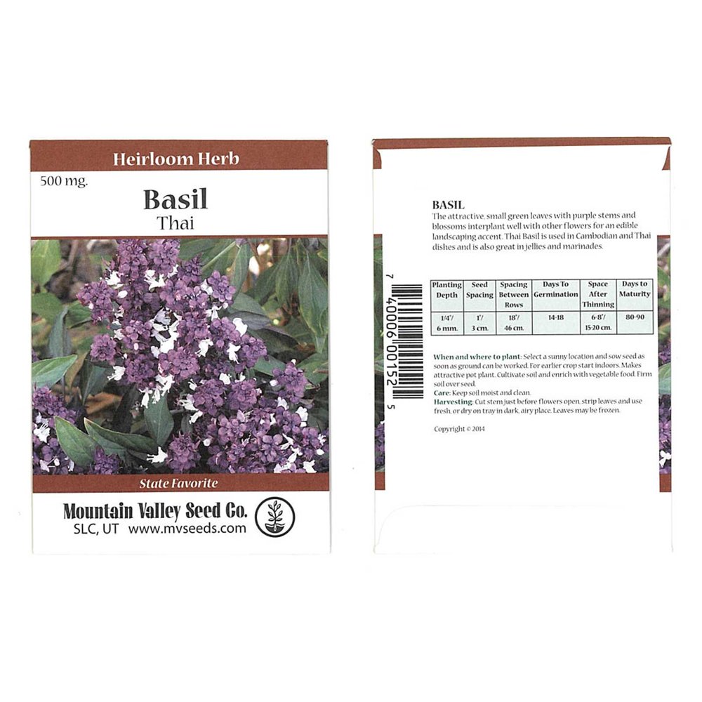 Thai Basil Herbal Garden Seeds 500 mg Packet Bulk Herb Seeds for Growing Microgreens, Indoor