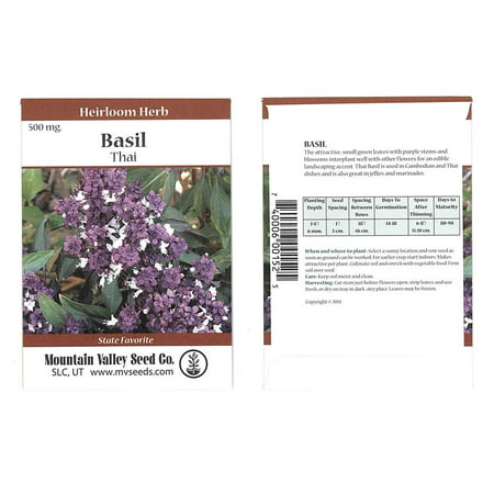 Thai Basil Herbal Garden Seeds - 500 mg Packet - Bulk Herb Seeds for Growing Microgreens, Indoor Gardening: Micro Greens