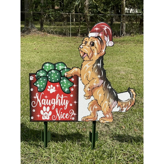 Shaggy Brown Dog on Top of Christmas Present