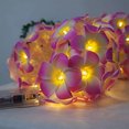 thumbnail image 5 of Guirnalda de luces de Frangipani de Dinheiro, Frangipani artificial, funciona con pilas, para fiestas de Navidad, bodas familiares y playa, 5 of 5