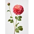 thumbnail image 2 of Allstate Floral & Craft FSD291-RO-TT 31 in. Dahlia Spray Flower Stem Spray, 2 Tone Rose - Pack of 12, 2 of 4