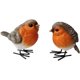 thumbnail image 1 of Polyresin Garden Robin Birds Adornos Patio trasero Decoración Estatuas para patio y patio Césped Pájaros lindos Interior Exterior Decoración del hogar Figuras Animal Stat Feliz Sencillez, 1 of 4