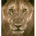 thumbnail image 4 of Faisal Alnomas 12x13 Black Modern Wood Framed Wall Art Titled - Contact Eyes, 4 of 6