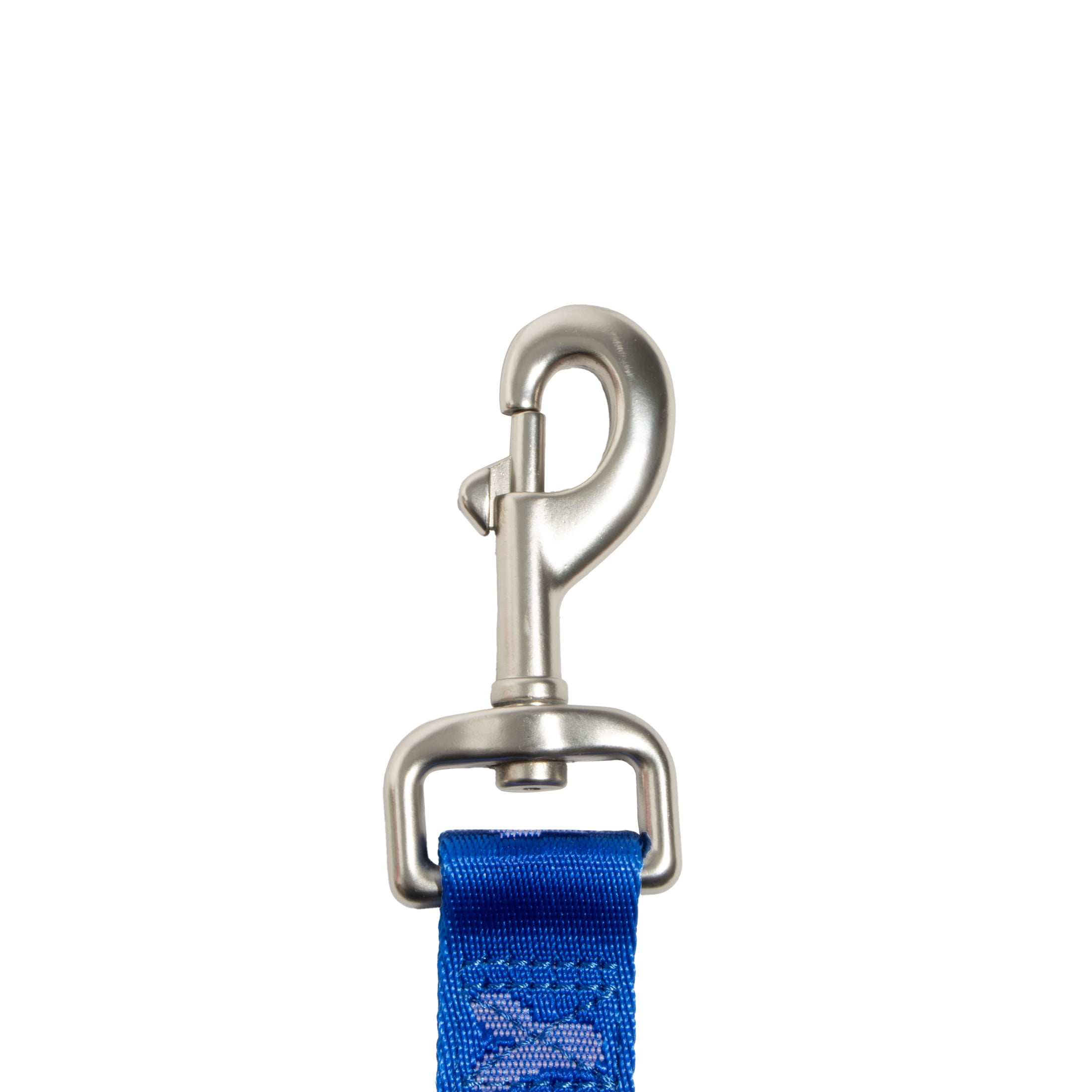 Oodles Fur Baby Standard Dog Leash, Blue, 6 ft