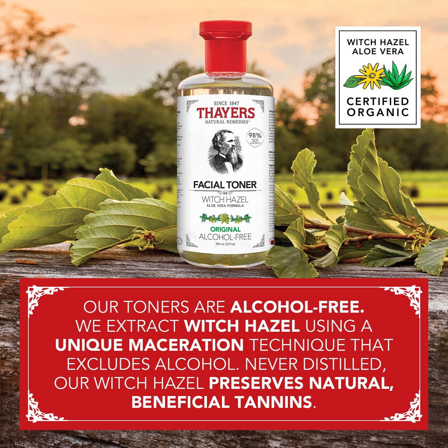 Thayers Original Facial Toner Alcohol-Free Witch Hazel and Aloe Vera