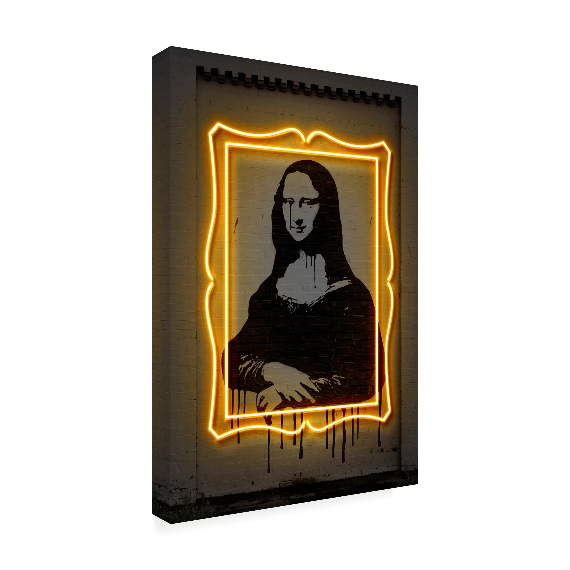 Trademark Fine Art Octavian Mielu Mona Lisa Canvas Wall Art - 30x47