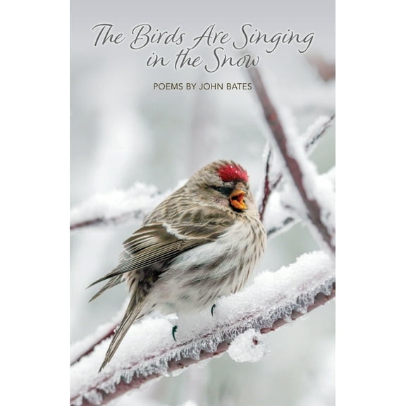 The Birds Are Singing In The Snow, (Paperback)