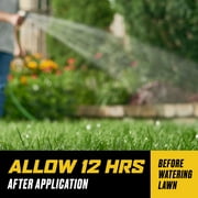 Ortho WeedClear Weed Killer for Lawns Concentrate, 1 gal.
