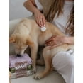 thumbnail image 3 of Dexypaws Grooming Wipes for Dogs & Cats 3 pack, 70 Wipes – Aloe, Lavender & Oatmeal for All Skin Types, 3 of 5