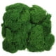 thumbnail image 1 of 1 juego de plantas en maceta, decoraciones de musgo, adornos de musgo artificial, musgo falso DIY, adornos decorativos de musgo, 1 of 8