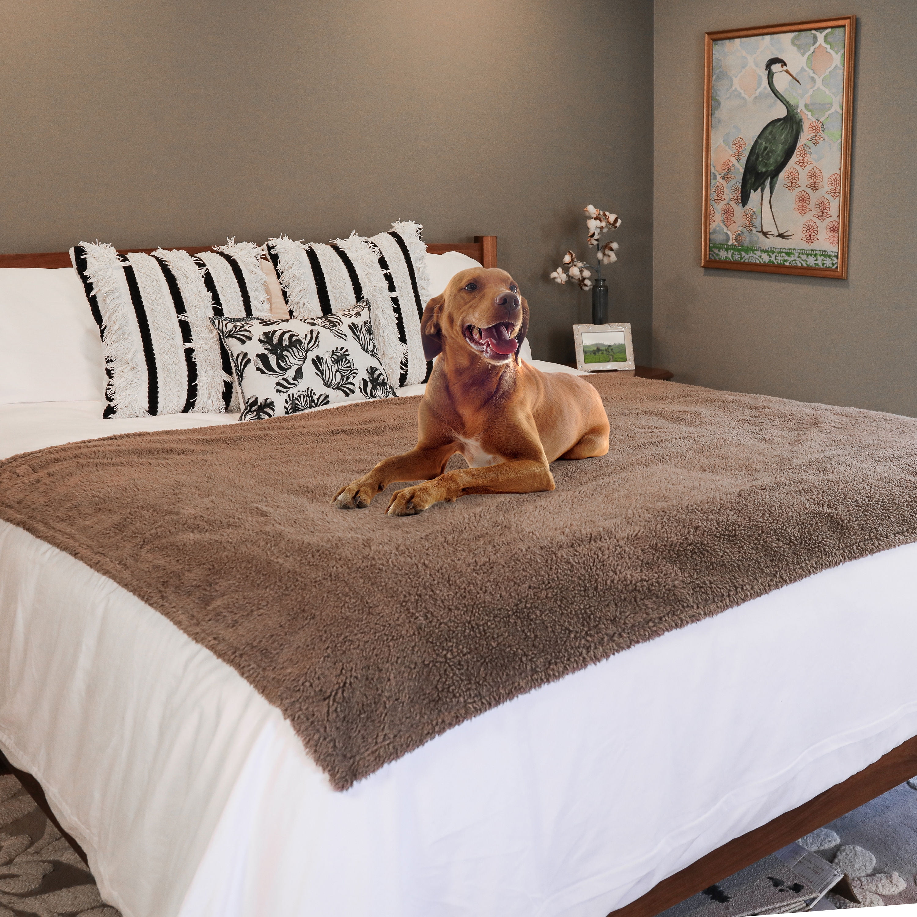 rocket & rex Extra Large Waterproof Dog Blanket, Brown, Washable Waterproof Pet Blanket Protects Beds, Couches & Other Furniture, Premium Fleece Fabric with Reversible Faux Suede, 56" x 73"